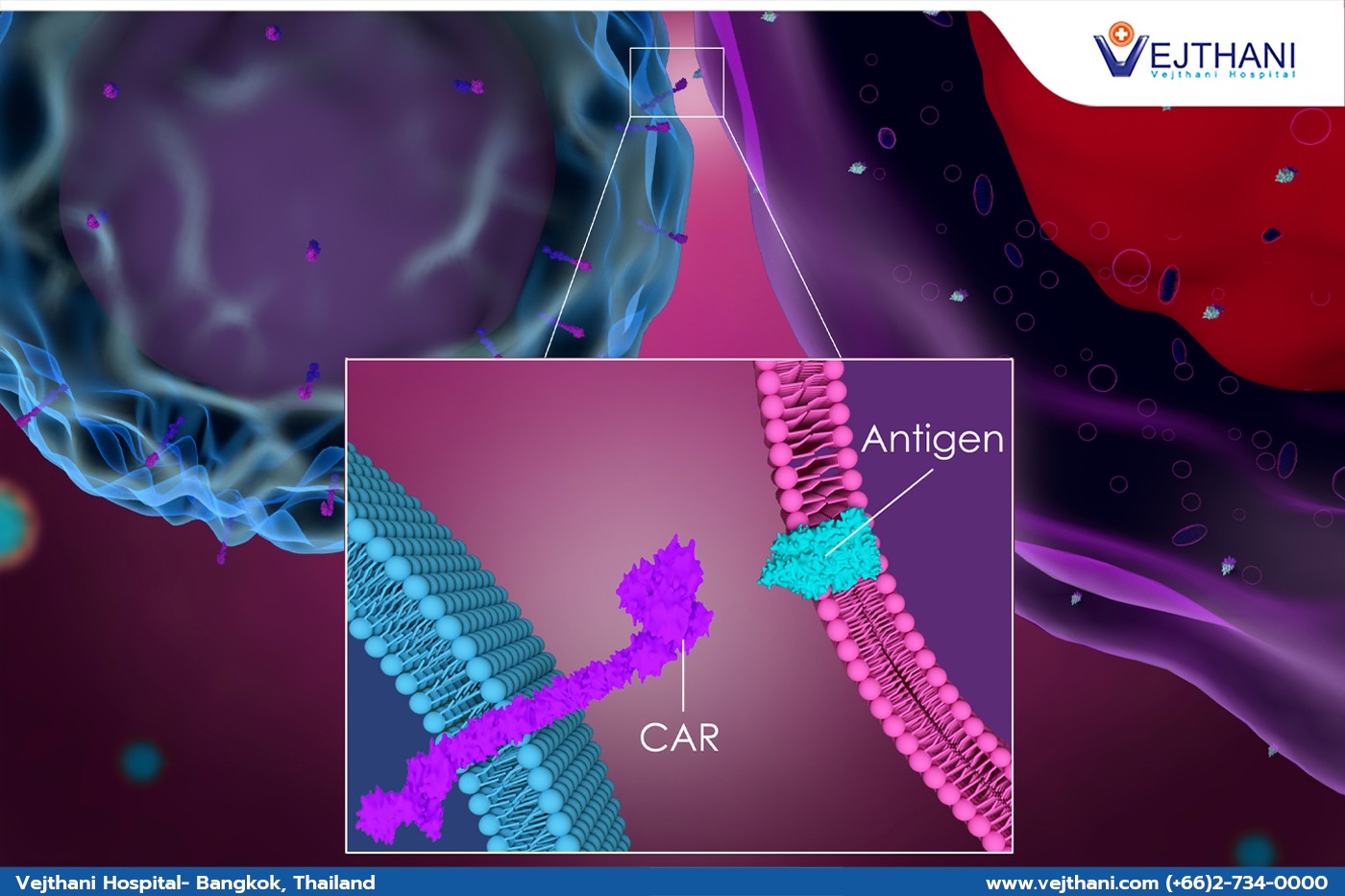 إحداث ثورة طبية في علاج سرطان الدم: العلاج بالخلايا التائية  CAR T-CELL